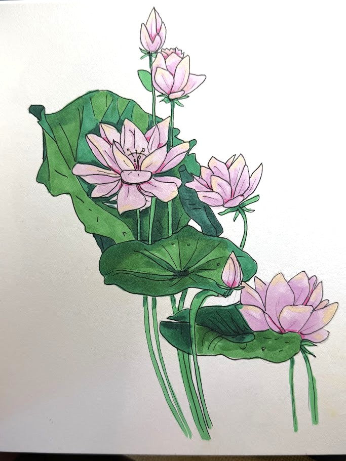 Lotus Set