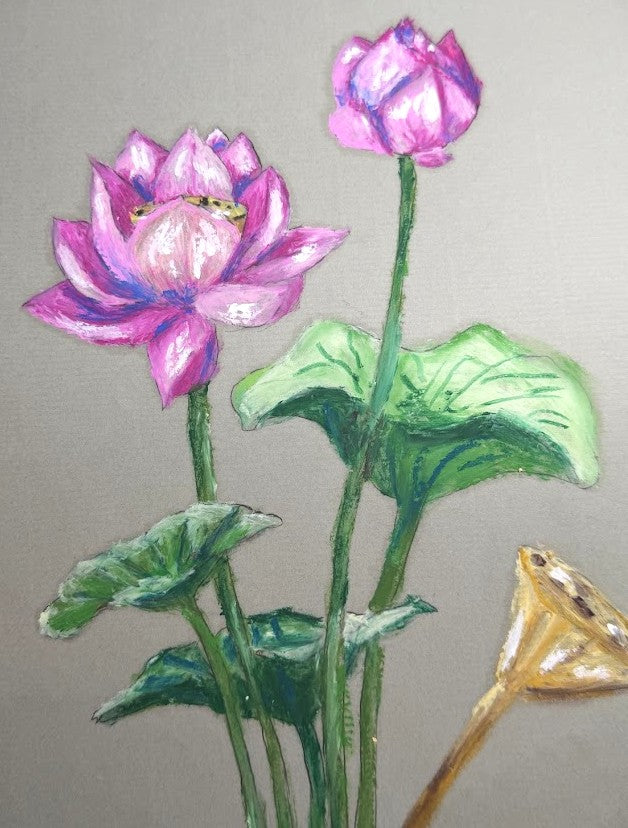 Lotus Set