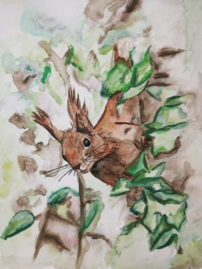 Eichhörnchen im Efeu DIN A5 Druck