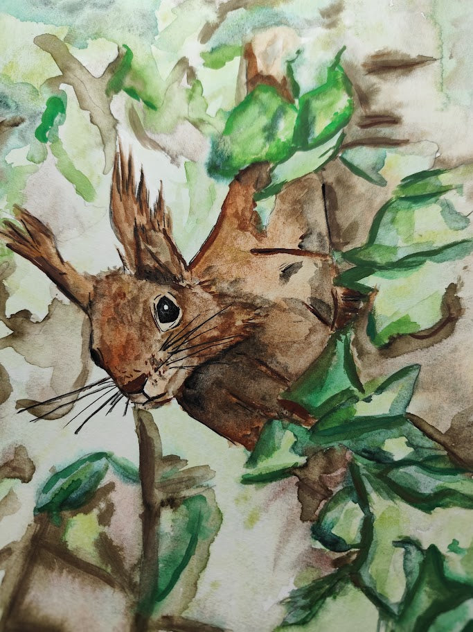 Eichhörnchen im Efeu DIN A5 Druck