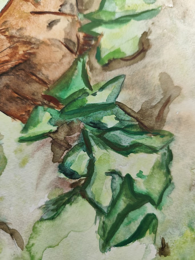 Eichhörnchen im Efeu DIN A5 Druck