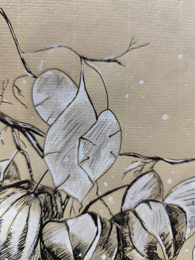 Lampionblume schwarz und weiß